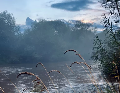 Miniatura: Wędkarz nie miał sobie równych. Złowił...