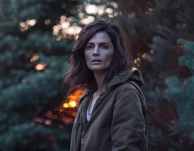 Miniatura: Dwa seriale sprzed lat robią furorę na...