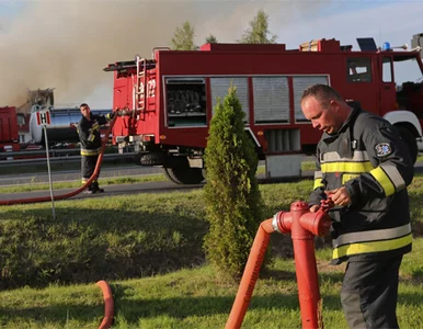 Miniatura: Strażacy mają pełne ręce roboty. Przez burze