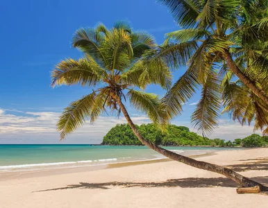 Miniatura: „Nowy Zanzibar” bezpośrednio z Polski. Do...