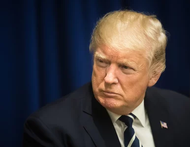 Miniatura: Donald Trump wezwał do bojkotu opon...