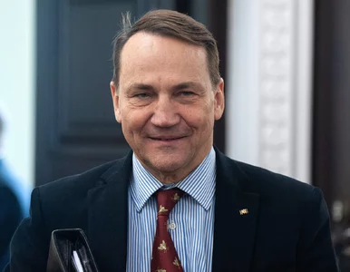 Miniatura: Sondaż. Polacy ocenili Radosława...