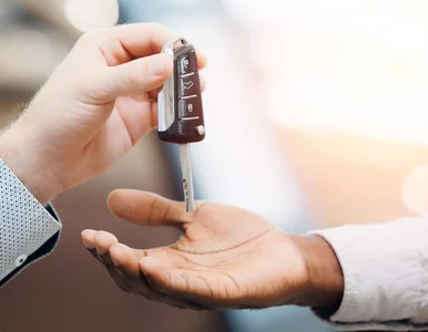 Miniatura: Tej branży w Polsce nie wiedzie się tak...