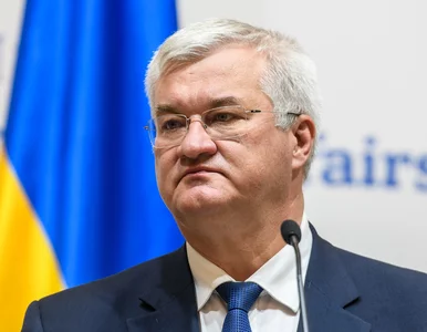 Miniatura: Wrze po decyzji Zełenskiego. Szef MSZ...
