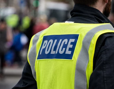 Miniatura: Polka zaginęła w Anglii 19 lat temu....