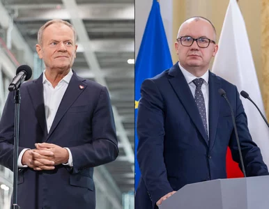 Miniatura: Tusk chce zespołu do zbadania...