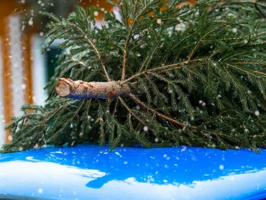 Miniatura: Kierowcy dostaną prezent pod choinkę?...