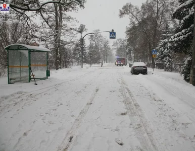 Miniatura: 14-latka potrącona na przejściu. Nowe...