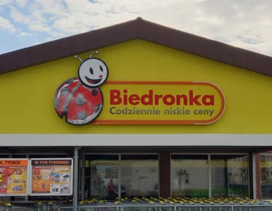 Miniatura: Od dziś w Biedronce klienci polują na ten...
