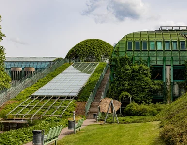 Miniatura: Skradzione w BUW-ie książki wystawiono na...