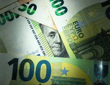 Miniatura: Kursy walut 30 stycznia 2026. Po ile...