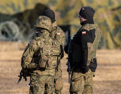 Miniatura: Polska pojawiła się w zagranicznym...