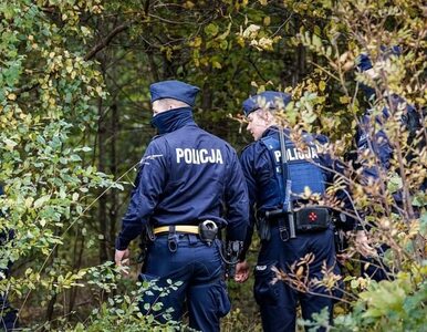 Miniatura: Policjanci widzieli w lesie poszukiwanego...