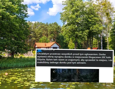 Miniatura: Polacy ostrzegają przed fałszywymi...