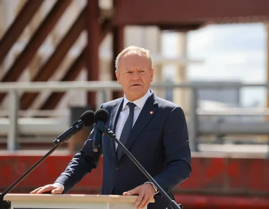 Miniatura: AfD triumfuje, w Polsce wrze. Tusk o...