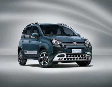 Miniatura: Nowe modele Fiata Pandy z okazji 40.urodzin