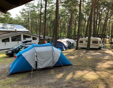 Miniatura: Wakacyjny weekend pod namiotem....