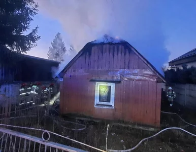 Miniatura: Pożar miał ukryć zbrodnię? Szokująca...