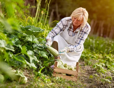Miniatura: Ta grupa zyska prawo do wcześniejszej...