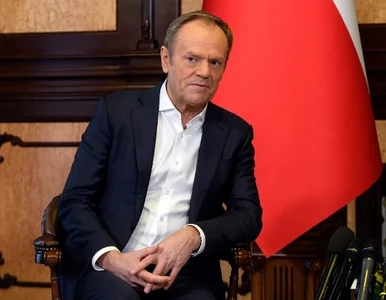 Miniatura: „Afery już nie obalają rządów”. Prof....