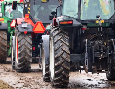Miniatura: Mają dość, wkrótce ruszą na Warszawę....