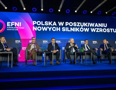 Miniatura: Na EFNI o przyszłości Europy i...