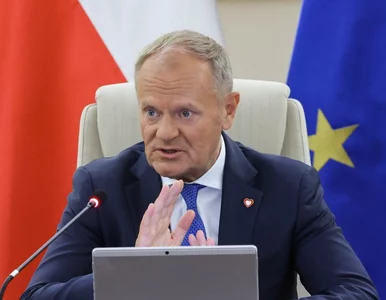 Miniatura: Donald Tusk zmienia plany. Pilna decyzja...