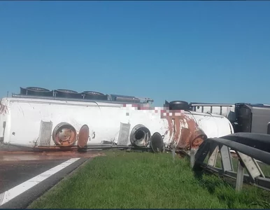 Miniatura: Czekolada z TIR-a rozlana na autostradzie...