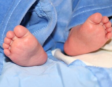 Miniatura: Matka i 2-latek w szpitalu z ranami...