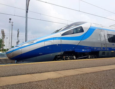 Miniatura: Nietypowy pasażer w pociągu. Podróżni...