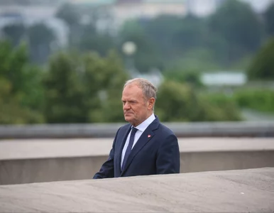 Miniatura: Tusk będzie dyscyplinował i mobilizował....