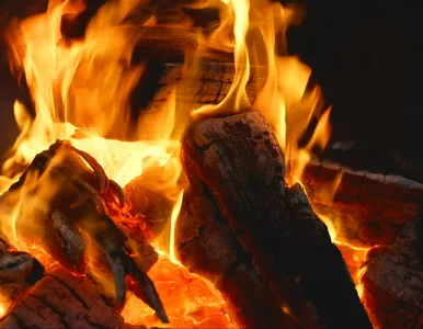 Miniatura: Masz kominek? Przed świętami ruszają...