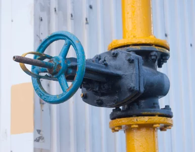 Miniatura: Historyczny zwrot w energetyce UE....