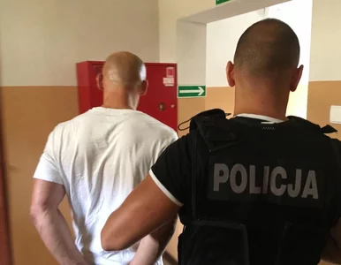 Miniatura: Policja. Nowa i coraz popularniejsza...