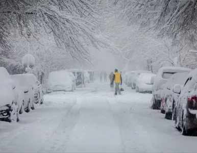 Miniatura: Pół Polski znajdzie się pod śniegiem?...