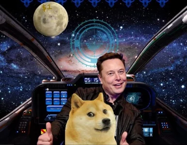 Miniatura: Elon Musk nie jest już dyrektorem...