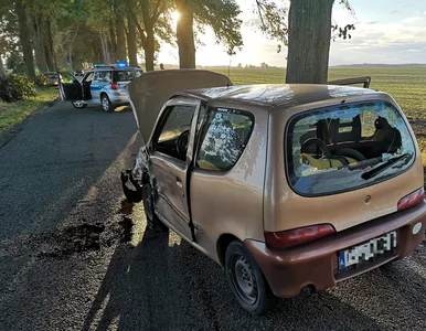 Miniatura: Tysiące wypadków, więc posypały się...
