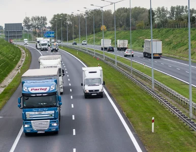 Miniatura: Wakacje bez TIR-ów. Ciężarówki na parkingach