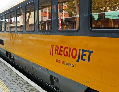 Miniatura: Na to połączenie RegioJet w Polsce trzeba...