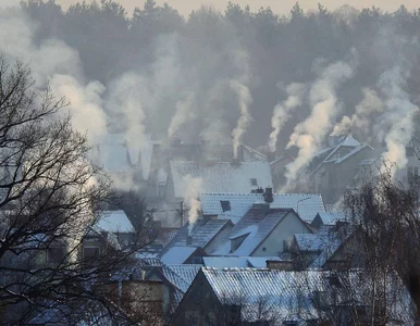 Miniatura: CBA zainteresowało się „Czystym...