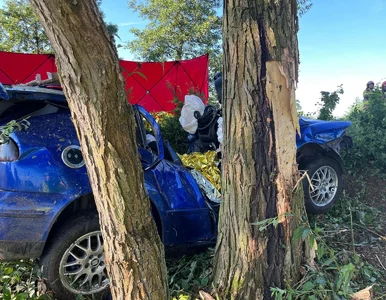 Miniatura: Czarna seria: znów zginęli 20-latkowie....