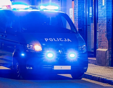 Miniatura: Strzelanina i obława w Wielkopolsce....