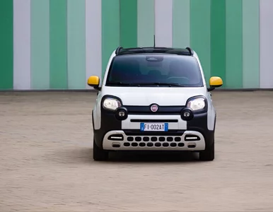 Miniatura: Ale to jest słodziak. Fiat Panda w nowej...