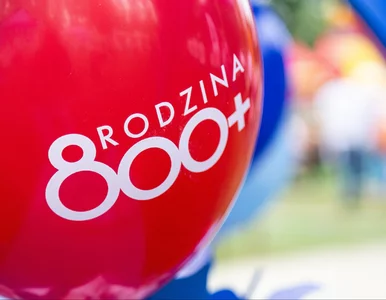 Miniatura: 4950 zł zamiast 800 plus? Ci rodzice mogą...