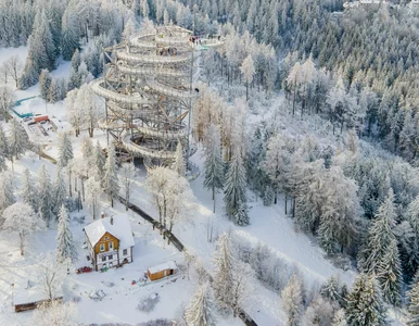 Miniatura: Metamorfoza w polskim uzdrowisku. To ma...