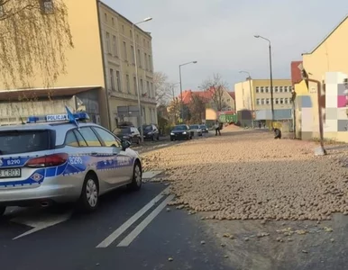 Miniatura: 16 ton ziemniaków zablokowało drogę...