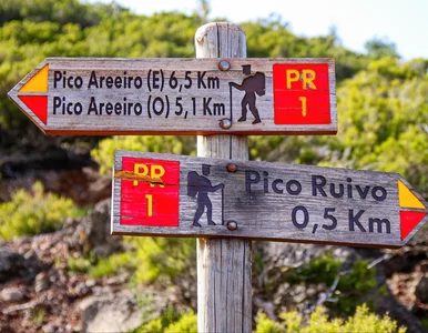 Miniatura: Nowy system dla turystów na Maderze....