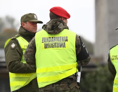 Miniatura: Incydent z udziałem polskiego drona....