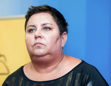 Miniatura: Wellman bez litości dla Hołowni. „Nadzieje...