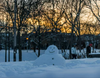 Miniatura: Takie będą Święta Bożego Narodzenia....